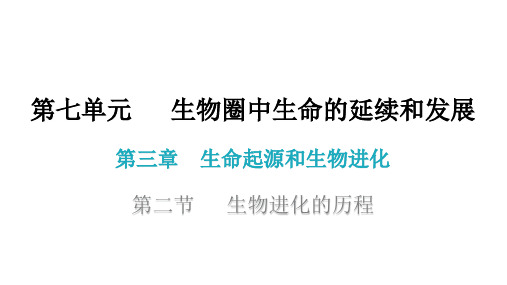 人教版八年级生物下册7. 生物进化的历程 课件