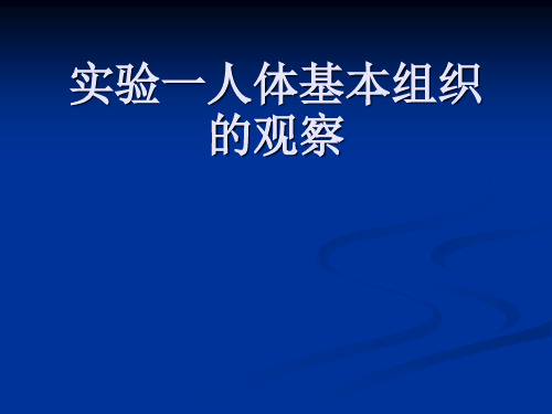 人体解剖生理学实验人体基本组织观察