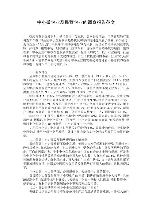 中小微企业及民营企业的调查报告范文