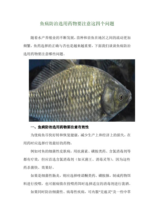 鱼病防治选用药物要注意这四个问题