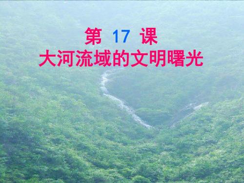 大河流域的文明曙光 PPT课件7 北师大版