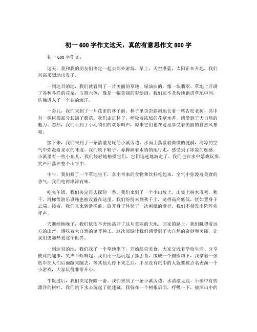 初一600字作文这天,真的有意思作文800字