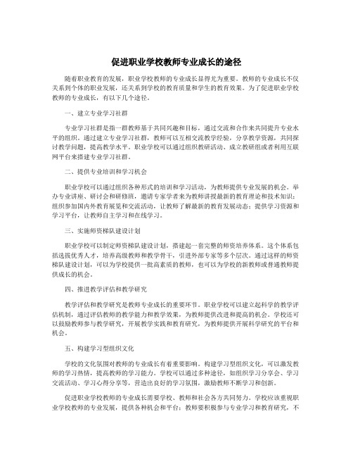 促进职业学校教师专业成长的途径