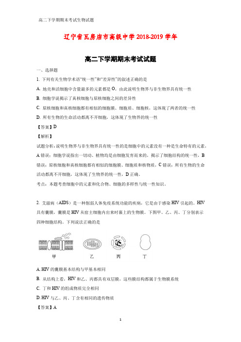 2018-2019学年辽宁省瓦房店市高级中学高二下学期期末考试生物试题(答案+解析)