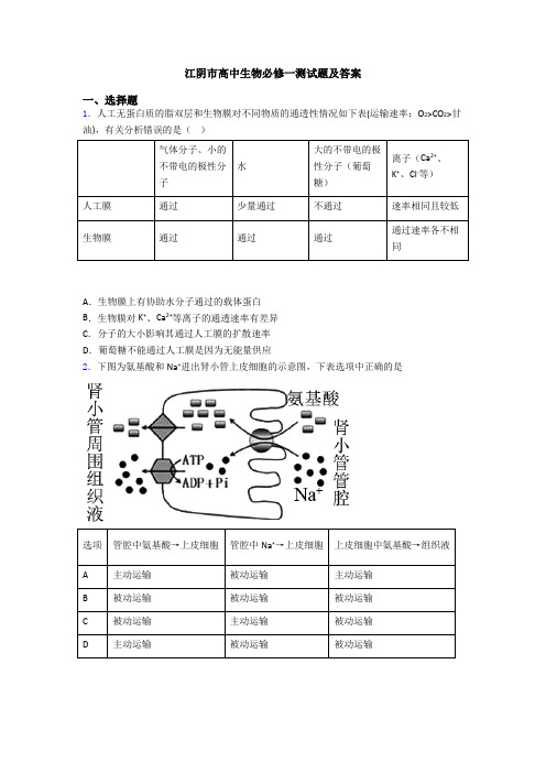 江阴市高中生物必修一测试题及答案