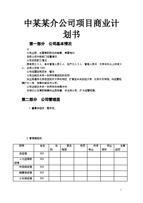 中某某介公司项目商业计划书