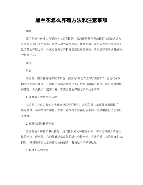 黑兰花怎么养殖方法和注意事项