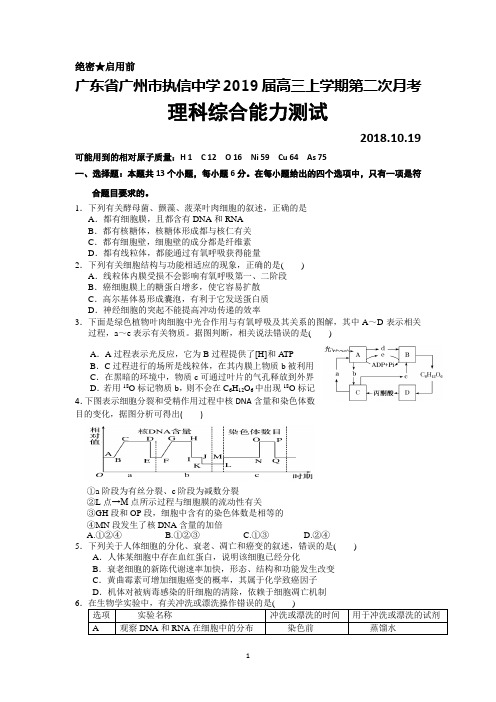 广东省广州市执信中学2019届高三上学期第二次月考理科综合试题及答案