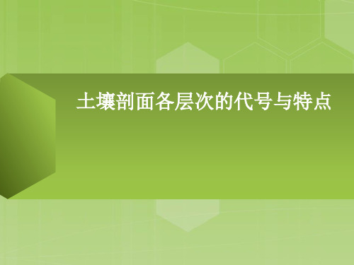 土壤剖面各层次的代号与特点22