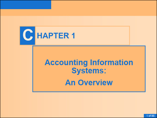 会计信息系统英文课件 (1)