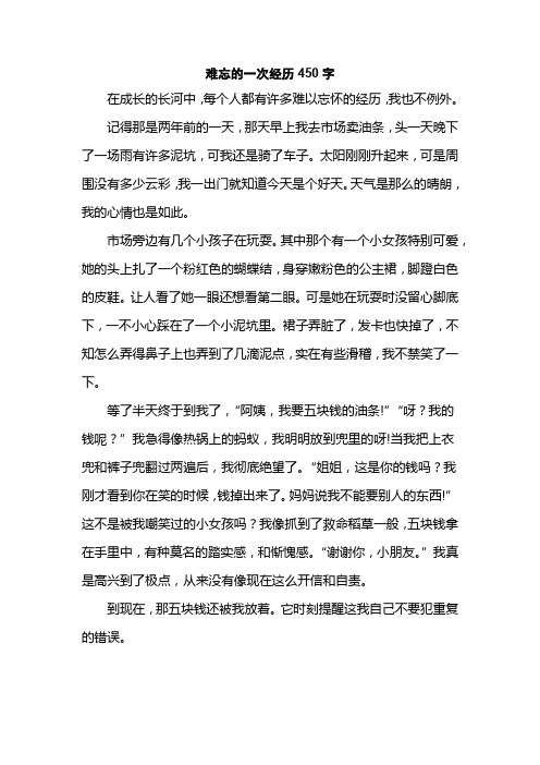 难忘的一次经历450字