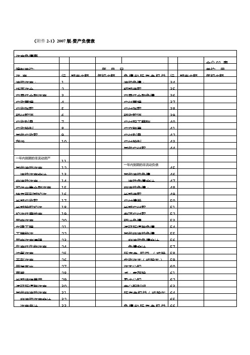 2007版财务会计报表