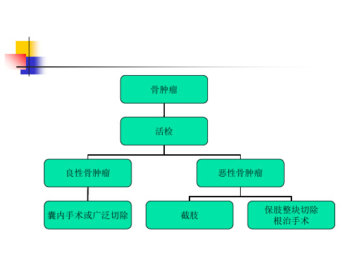 最新重视骨肿瘤的活检手术主题讲座课件