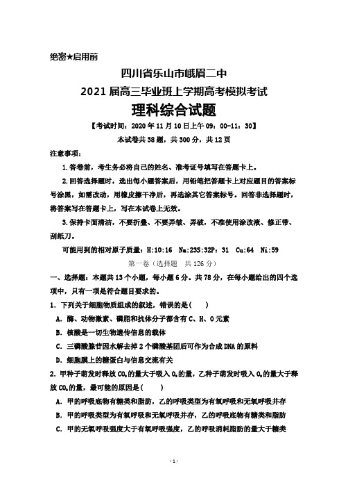 2020年11月10日四川省乐山市峨眉二中2021届高三毕业班高考模拟考试理科综合试题及答案