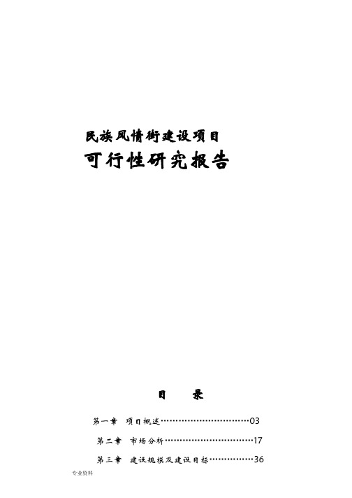 民族风情街建设项目可行性研究报告