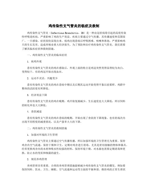 鸡传染性支气管炎的临症及救制