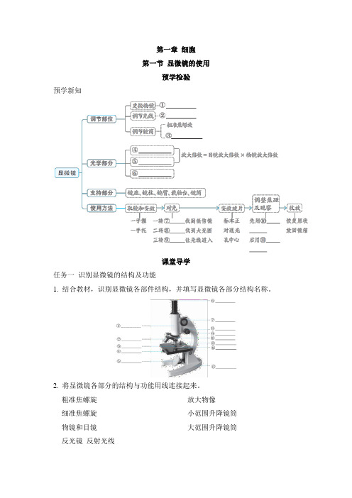 第一章 细胞 预学检验与课堂导学(含答案)冀少 版生物七年级上册(2024)