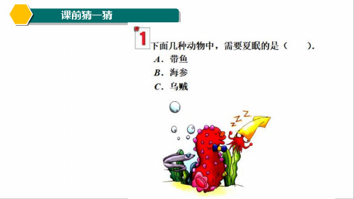 三年级幻方与数阵图初步完整版课件