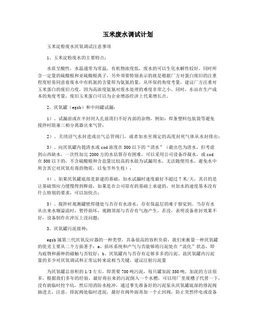 玉米废水调试计划