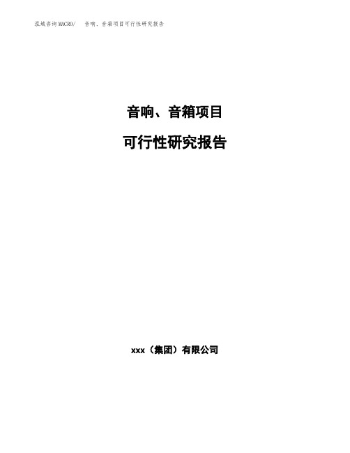 音响、音箱项目可行性研究报告模板