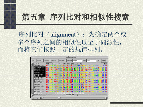 第五章 序列比对