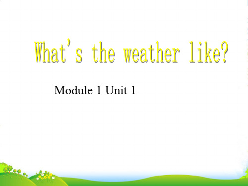 外研版二年级英语下册Module1Unit1What’stheweatherlike课件2