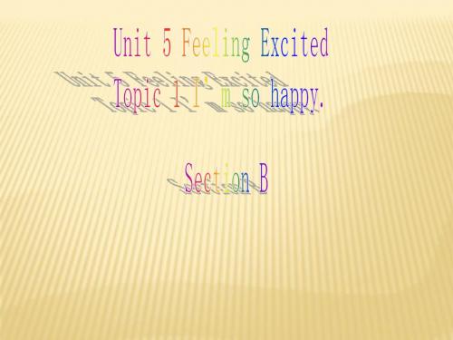 Unit 5 Feeling excited Topic 1 I’m so happy!Section B课件 (新版)仁爱版八年级下