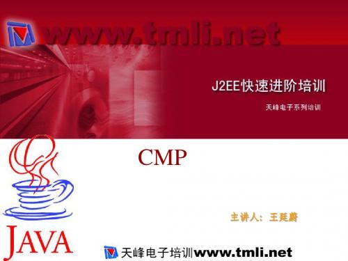 J2EE快速进阶培训-CMP