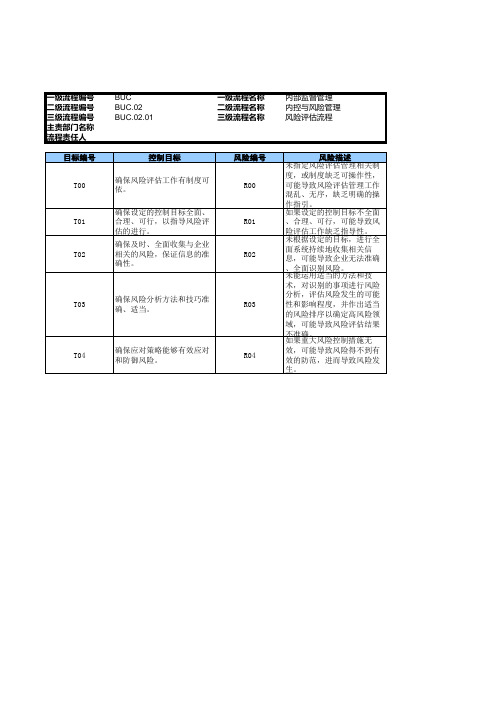 公司内控风险评估流程-RCM风险控制矩阵模版