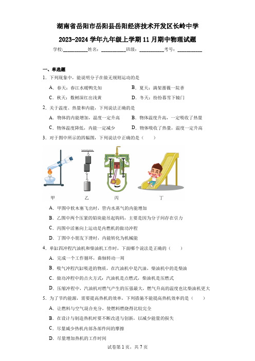 湖南省岳阳市岳阳县岳阳经济技术开发区长岭中学2023-2024学年九年级上学期11月期中物理试题