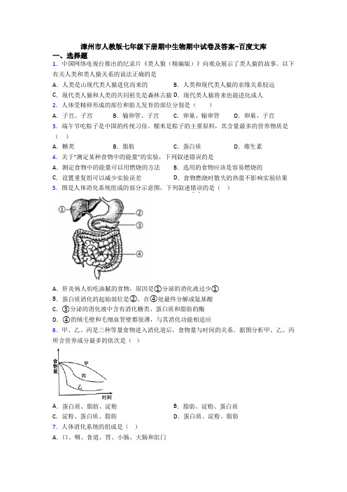 漳州市人教版七年级下册期中生物期中试卷及答案-百度文库