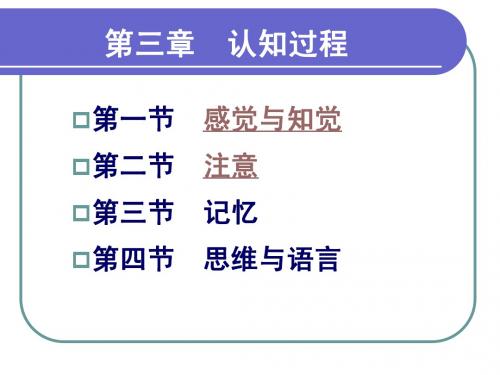 第一、二节 感觉和知觉、注意