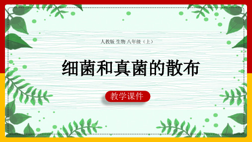 初中生物人教版八年级上册《第一节细菌和真菌的分布》课件