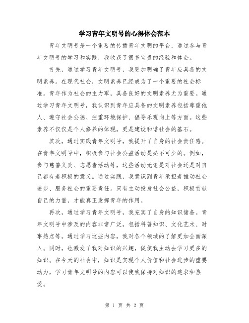 学习青年文明号的心得体会范本