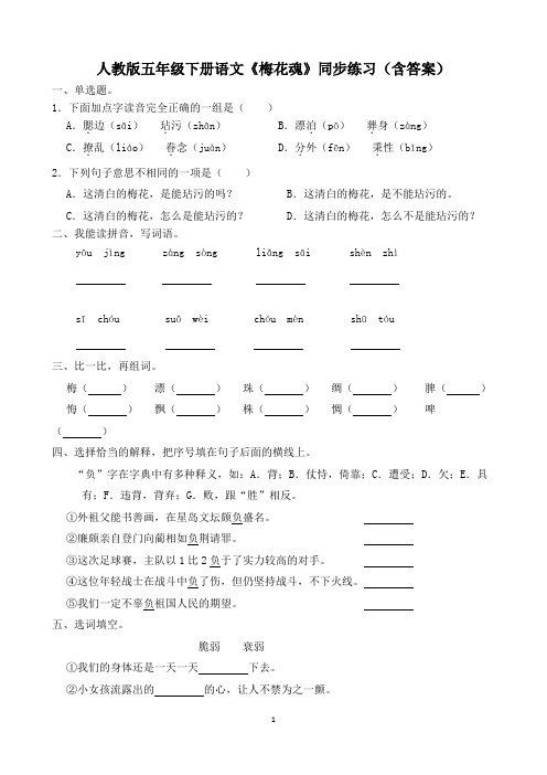 人教版五年级下册语文《梅花魂》同步练习(含答案)