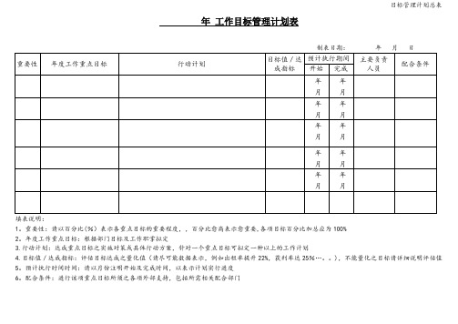 目标管理计划总表