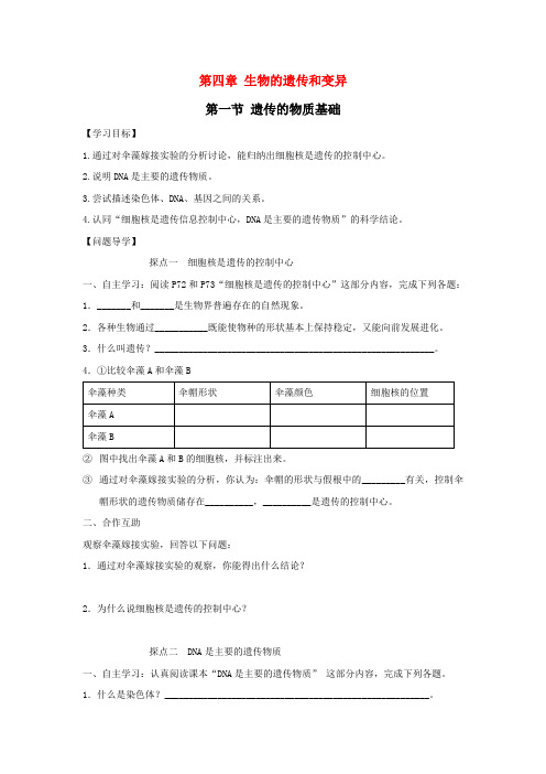 八年级生物上册 生物的遗传和变异同步练习 济南版