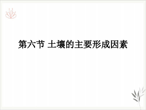 土壤的主要形成因素自然地理要素及现象课件新教材