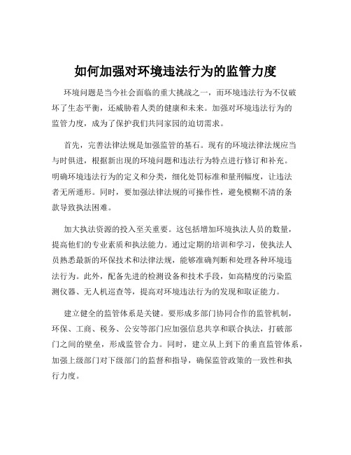 如何加强对环境违法行为的监管力度