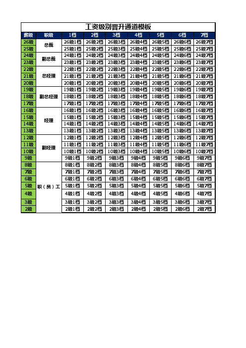 宽带薪酬设计模板软件