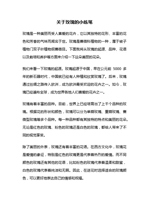 关于玫瑰的小练笔