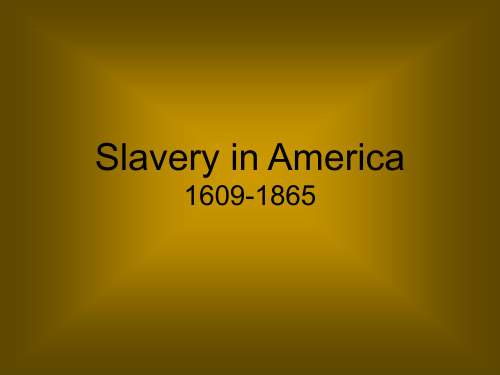 美国的奴隶制 Slavery In America