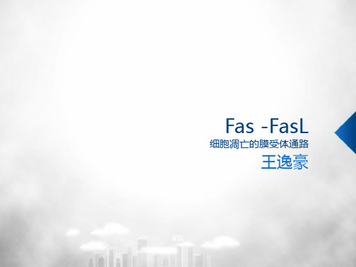 Fas-FasL