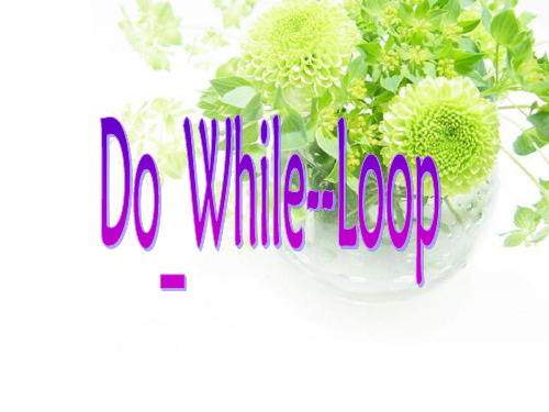 DO-While--Loop循环语句知识讲解