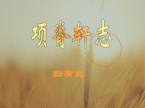 江苏省南京市金陵中学河西分校高中语文必修五 第二专题:项脊轩志 课件 共22张