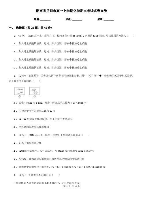 湖南省岳阳市高一上学期化学期末考试试卷B卷