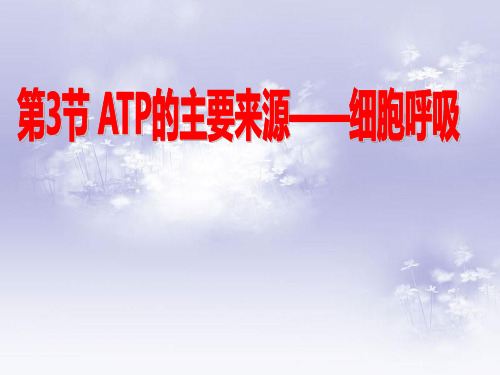 高中生物必修一课件-5.3 ATP的主要来源──细胞呼吸 人教版
