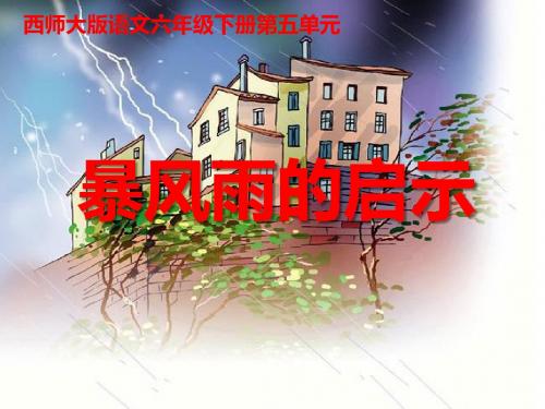 《暴风雨的启示PPT课件》