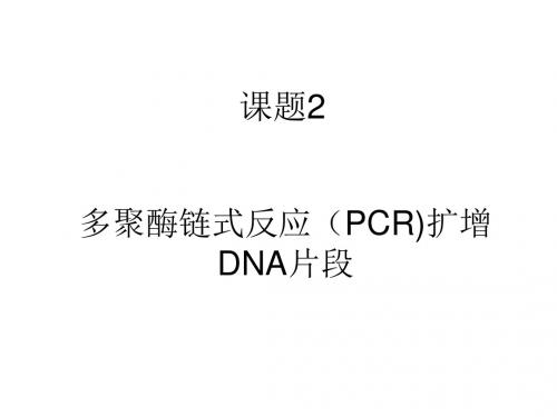 高二生物pcr技术