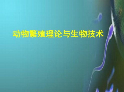 动物的生殖器官功能解剖-2022年学习资料